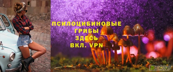 стафф Михайлов