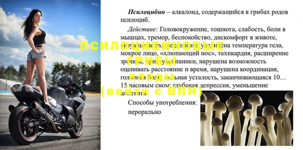 альфа пвп Медвежьегорск