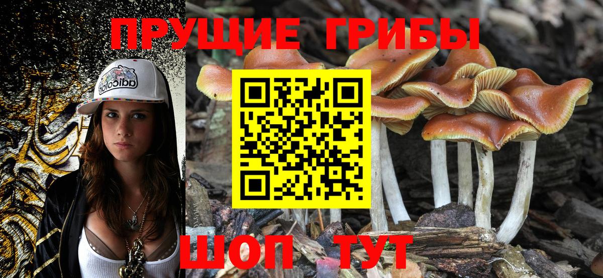 Галлюциногенные грибы Cubensis Кстово