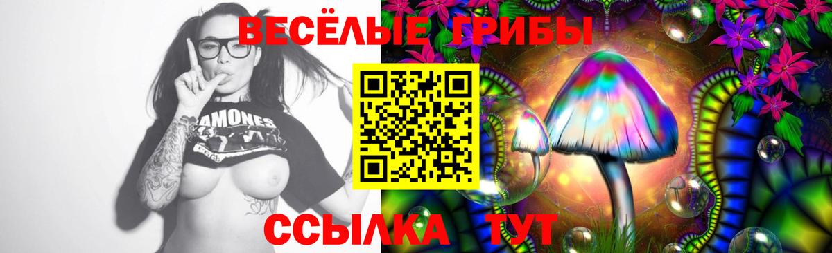 Кстово  Псилоцибиновые грибы мицелий  Псилоцибиновые грибы Psilocybine cubensis  Вход с VPN 